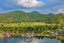 cotif足球比分-探秘COTIF足球赛,比分背后的热血与激情