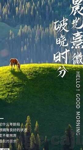竞彩网足球比分直播现场-竞彩网足球比分直播现场,球迷的激情与数据的狂欢