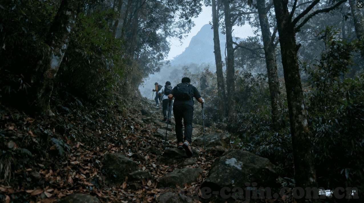 抢庄牛牛的规则是什么-抢庄牛牛，规则解析与策略探讨