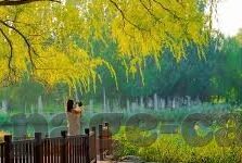 足球比分 直播-足球比分直播,一场跨越时空的激情盛宴